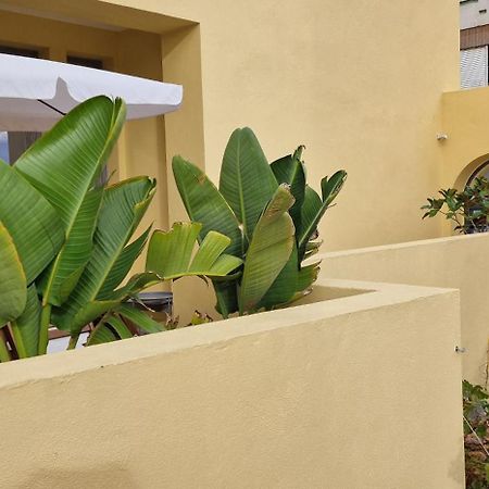 Appartamento Casa Da Acoteia Distretto di Distretto di Faro Esterno foto