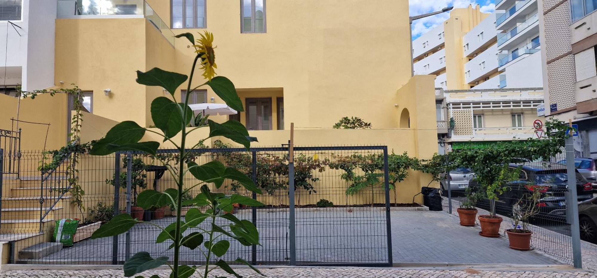 Appartamento Casa Da Acoteia Distretto di Distretto di Faro Esterno foto
